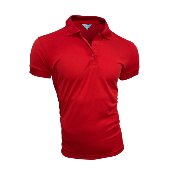 Dri Fit Polo Plus Size